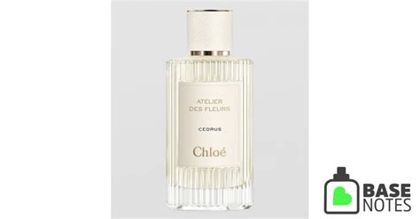 chloe perfume basenotes|chloe perfume reviews.